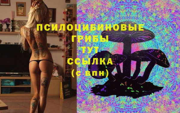 мдпв Дмитровск