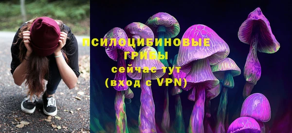 марки nbome Дмитриев