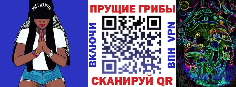 Галлюциногенные грибы GOLDEN TEACHER  Зеленогорск 